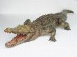 2192 aligator krokodil tafel