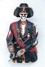 piraat skeleton model 2442 65 x 57 x 128 cm