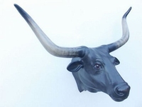 2272 longhorn bull bruin