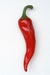 decoratie beeld chili peper model 2479 A of B 