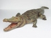 salontafel model aligator 2192 